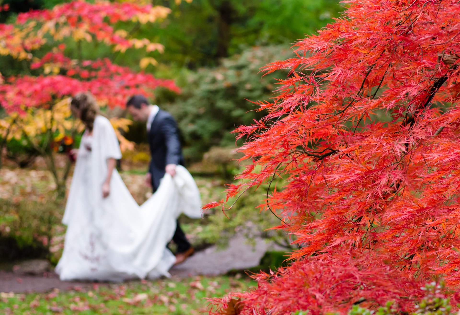 Podzimní svatba mezi listy